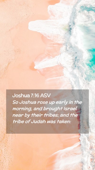 Picture 02 - Joshua 7:16 ASV Mobile Phone Wallpaper - So Joshua rose up early in the morning, and - Mobile Bible Verse Wallpaper