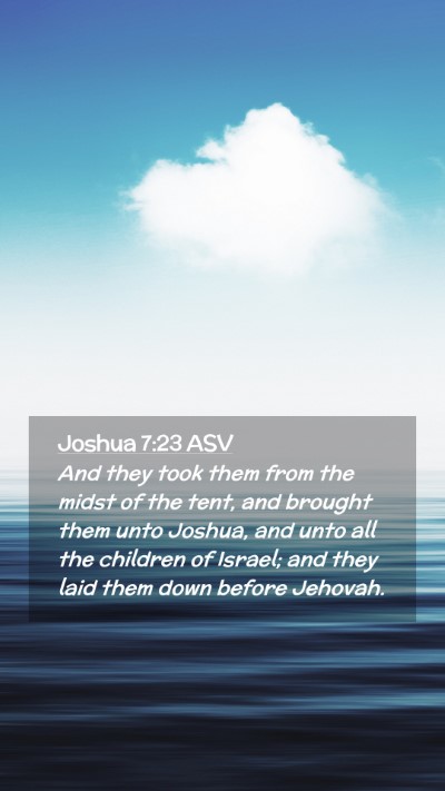 Picture 02 - Joshua 7:23 ASV Mobile Phone Wallpaper - And they took them from the midst of the tent, - Mobile Bible Verse Wallpaper