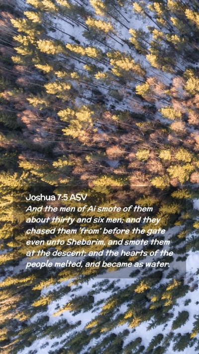 Picture 02 - Joshua 7:5 ASV Mobile Phone Wallpaper - And the men of Ai smote of them about thirty and - Mobile Bible Verse Wallpaper