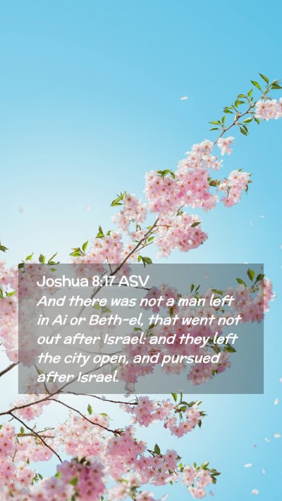 Picture 02 - Joshua 8:17 ASV Mobile Phone Wallpaper - And there was not a man left in Ai or Beth-el, - Mobile Bible Verse Wallpaper