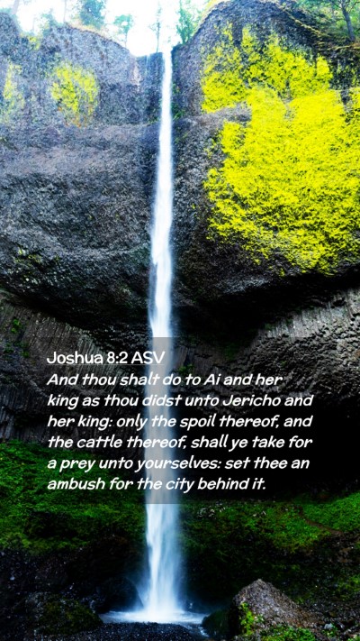 Picture 02 - Joshua 8:2 ASV Mobile Phone Wallpaper - And thou shalt do to Ai and her king as thou - Mobile Bible Verse Wallpaper
