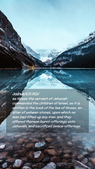 Picture 02 - Joshua 8:31 ASV Mobile Phone Wallpaper - as Moses the servant of Jehovah commanded the - Mobile Bible Verse Wallpaper