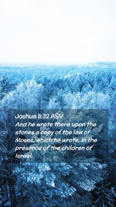 Picture 02 - Joshua 8:32 ASV Mobile Phone Wallpaper - And he wrote there upon the stones a copy of the - Mobile Bible Verse Wallpaper
