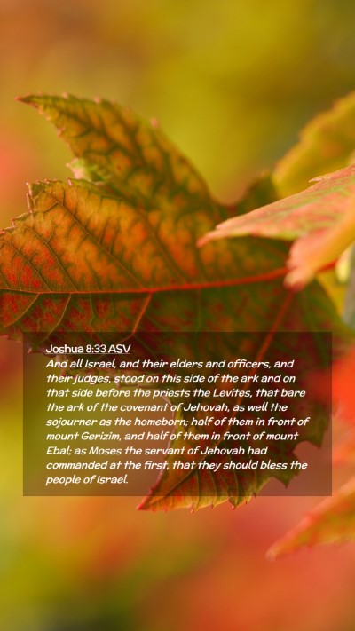Picture 02 - Joshua 8:33 ASV Mobile Phone Wallpaper - And all Israel, and their elders and officers, - Mobile Bible Verse Wallpaper
