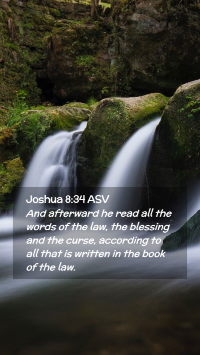 Picture 02 - Joshua 8:34 ASV Mobile Phone Wallpaper - And afterward he read all the words of the law, - Mobile Bible Verse Wallpaper