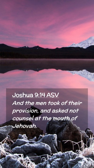 Picture 02 - Joshua 9:14 ASV Mobile Phone Wallpaper - And the men took of their provision, and asked - Mobile Bible Verse Wallpaper