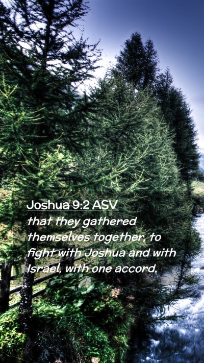 Picture 02 - Joshua 9:2 ASV Mobile Phone Wallpaper - that they gathered themselves together, to fight - Mobile Bible Verse Wallpaper