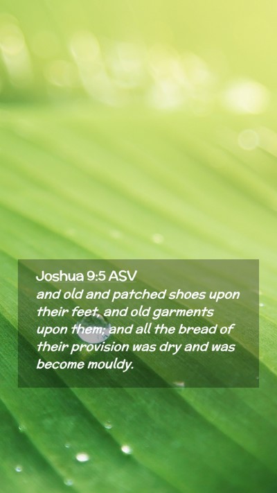 Picture 02 - Joshua 9:5 ASV Mobile Phone Wallpaper - and old and patched shoes upon their feet, and - Mobile Bible Verse Wallpaper