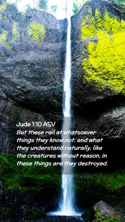 Picture 02 - Jude 1:10 ASV Mobile Phone Wallpaper - But these rail at whatsoever things they know - Mobile Bible Verse Wallpaper