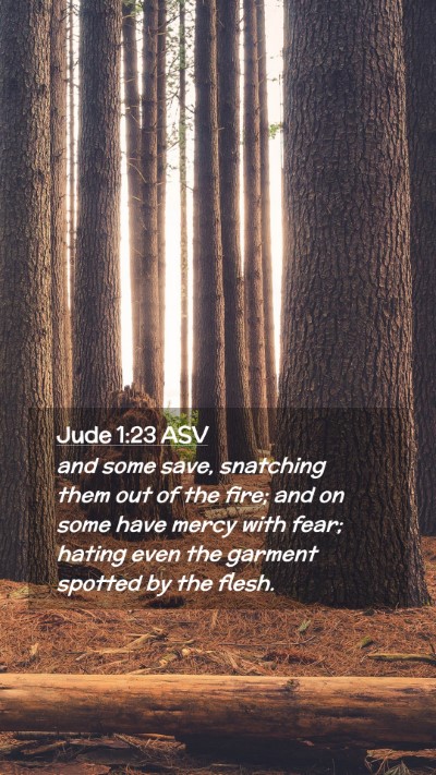 Picture 02 - Jude 1:23 ASV Mobile Phone Wallpaper - and some save, snatching them out of the fire; - Mobile Bible Verse Wallpaper