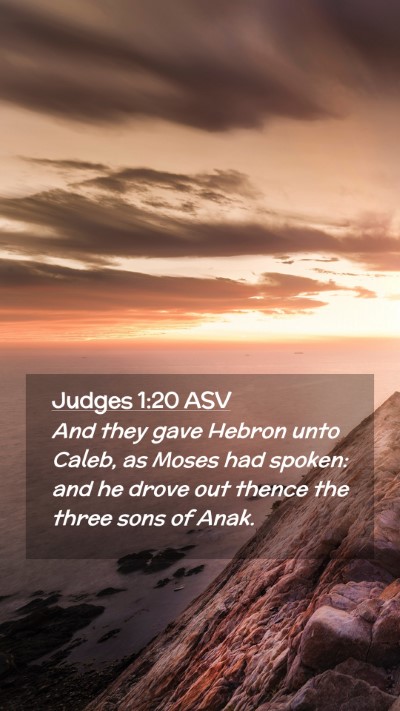 Picture 02 - Judges 1:20 ASV Mobile Phone Wallpaper - And they gave Hebron unto Caleb, as Moses had - Mobile Bible Verse Wallpaper