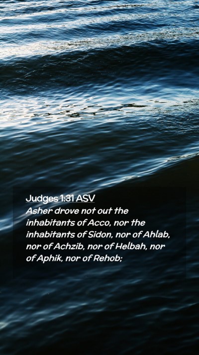 Picture 02 - Judges 1:31 ASV Mobile Phone Wallpaper - Asher drove not out the inhabitants of Acco, nor - Mobile Bible Verse Wallpaper