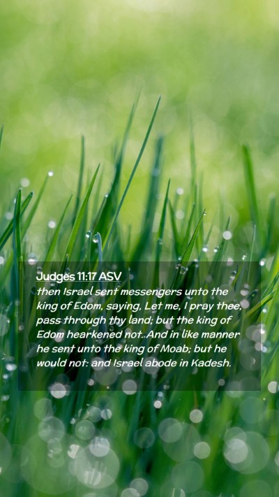 Picture 02 - Judges 11:17 ASV Mobile Phone Wallpaper - then Israel sent messengers unto the king of - Mobile Bible Verse Wallpaper