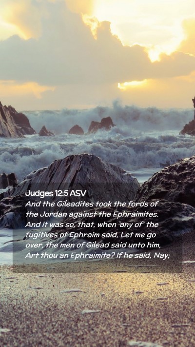 Picture 02 - Judges 12:5 ASV Mobile Phone Wallpaper - And the Gileadites took the fords of the Jordan - Mobile Bible Verse Wallpaper