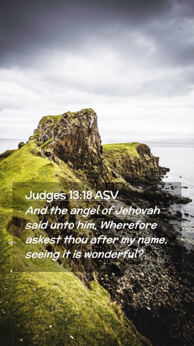 Picture 02 - Judges 13:18 ASV Mobile Phone Wallpaper - And the angel of Jehovah said unto him, Wherefore - Mobile Bible Verse Wallpaper