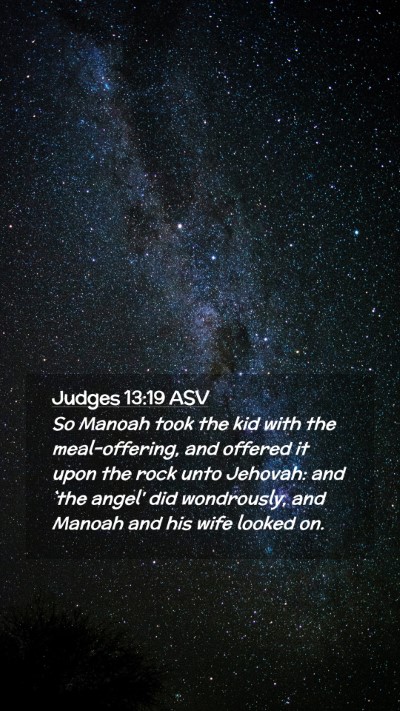 Picture 02 - Judges 13:19 ASV Mobile Phone Wallpaper - So Manoah took the kid with the meal-offering, - Mobile Bible Verse Wallpaper