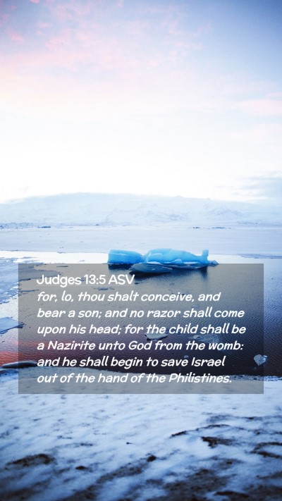 Picture 02 - Judges 13:5 ASV Mobile Phone Wallpaper - for, lo, thou shalt conceive, and bear a son; and - Mobile Bible Verse Wallpaper