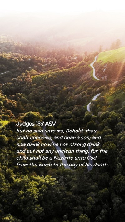 Picture 02 - Judges 13:7 ASV Mobile Phone Wallpaper - but he said unto me, Behold, thou shalt conceive, - Mobile Bible Verse Wallpaper