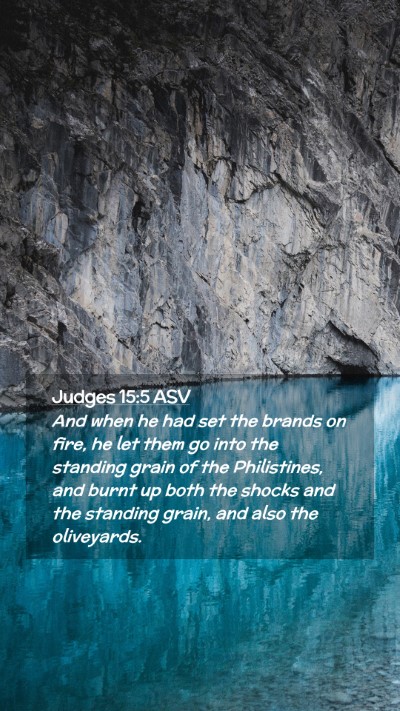 Picture 02 - Judges 15:5 ASV Mobile Phone Wallpaper - And when he had set the brands on fire, he let - Mobile Bible Verse Wallpaper