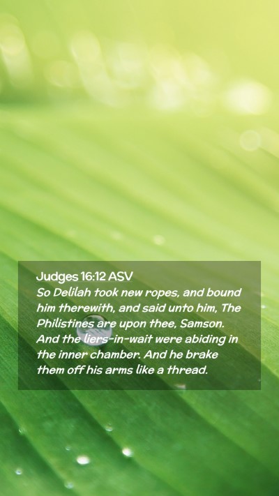 Picture 02 - Judges 16:12 ASV Mobile Phone Wallpaper - So Delilah took new ropes, and bound him - Mobile Bible Verse Wallpaper
