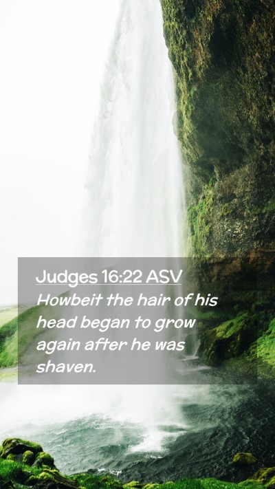 Picture 02 - Judges 16:22 ASV Mobile Phone Wallpaper - Howbeit the hair of his head began to grow again - Mobile Bible Verse Wallpaper