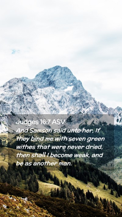 Picture 02 - Judges 16:7 ASV Mobile Phone Wallpaper - And Samson said unto her, If they bind me with - Mobile Bible Verse Wallpaper