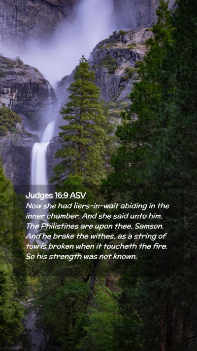 Picture 02 - Judges 16:9 ASV Mobile Phone Wallpaper - Now she had liers-in-wait abiding in the inner - Mobile Bible Verse Wallpaper