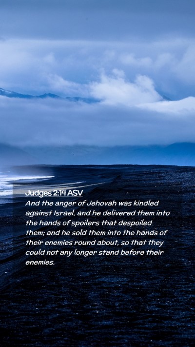 Picture 02 - Judges 2:14 ASV Mobile Phone Wallpaper - And the anger of Jehovah was kindled against - Mobile Bible Verse Wallpaper