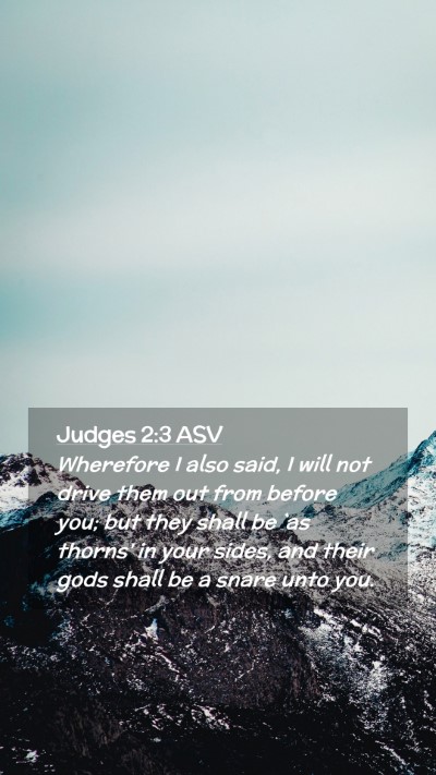 Picture 02 - Judges 2:3 ASV Mobile Phone Wallpaper - Wherefore I also said, I will not drive them out - Mobile Bible Verse Wallpaper