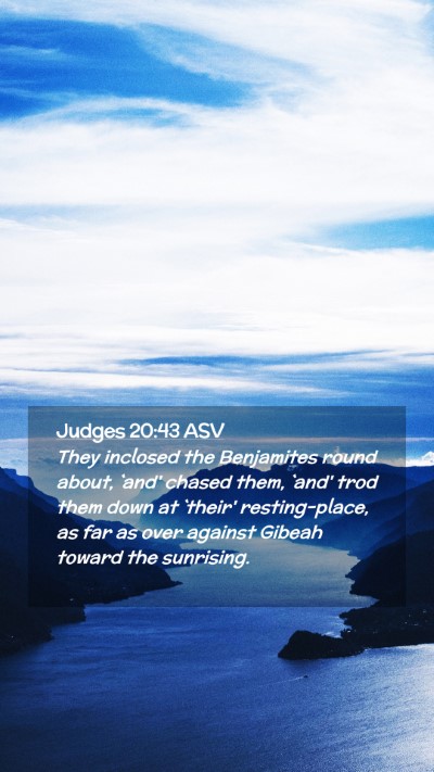 Picture 02 - Judges 20:43 ASV Mobile Phone Wallpaper - They inclosed the Benjamites round about, `and' - Mobile Bible Verse Wallpaper