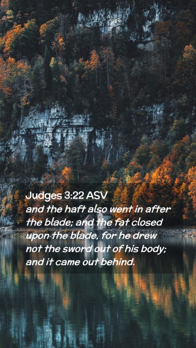 Picture 02 - Judges 3:22 ASV Mobile Phone Wallpaper - and the haft also went in after the blade; and - Mobile Bible Verse Wallpaper