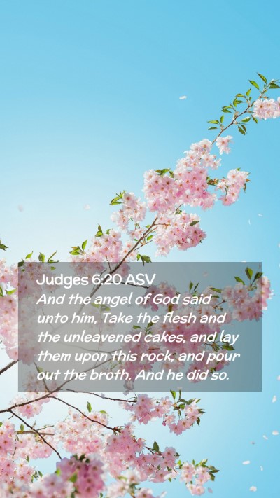 Picture 02 - Judges 6:20 ASV Mobile Phone Wallpaper - And the angel of God said unto him, Take the - Mobile Bible Verse Wallpaper