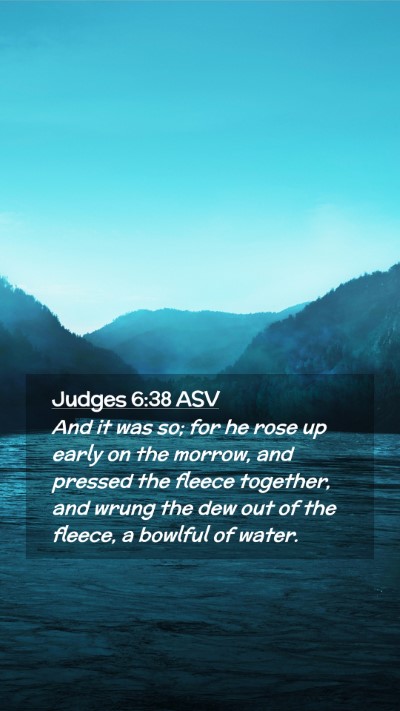 Picture 02 - Judges 6:38 ASV Mobile Phone Wallpaper - And it was so; for he rose up early on the - Mobile Bible Verse Wallpaper