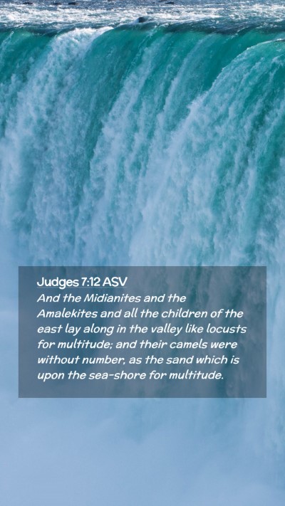 Picture 02 - Judges 7:12 ASV Mobile Phone Wallpaper - And the Midianites and the Amalekites and all the - Mobile Bible Verse Wallpaper
