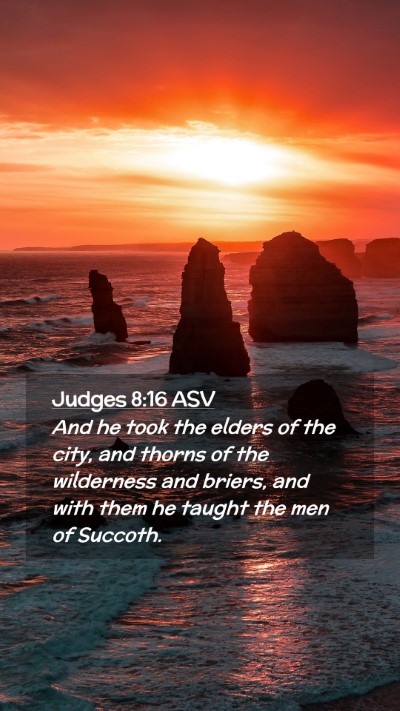 Picture 02 - Judges 8:16 ASV Mobile Phone Wallpaper - And he took the elders of the city, and thorns of - Mobile Bible Verse Wallpaper