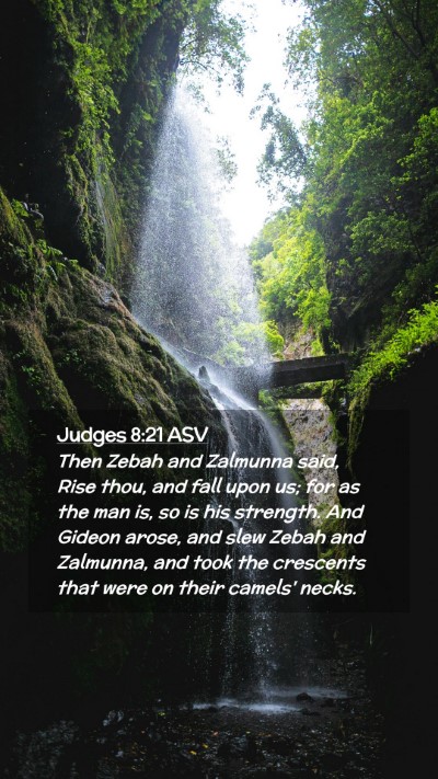 Picture 02 - Judges 8:21 ASV Mobile Phone Wallpaper - Then Zebah and Zalmunna said, Rise thou, and fall - Mobile Bible Verse Wallpaper