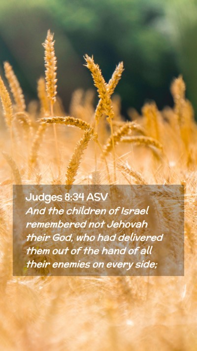 Picture 02 - Judges 8:34 ASV Mobile Phone Wallpaper - And the children of Israel remembered not Jehovah - Mobile Bible Verse Wallpaper