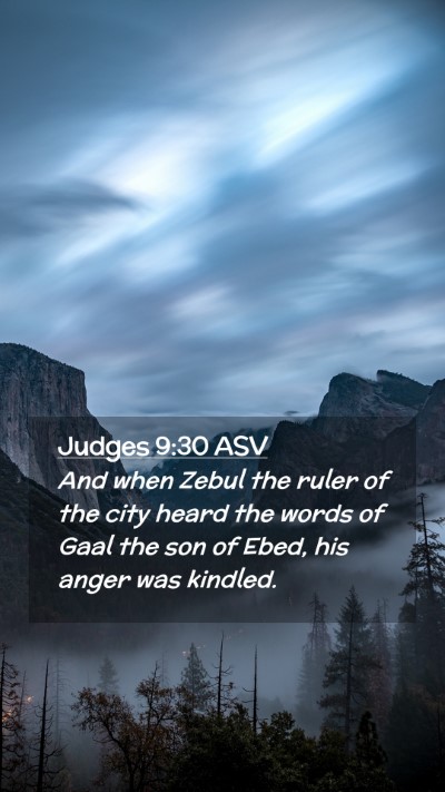 Picture 02 - Judges 9:30 ASV Mobile Phone Wallpaper - And when Zebul the ruler of the city heard the - Mobile Bible Verse Wallpaper