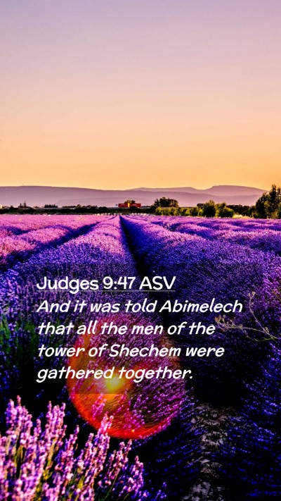 Picture 02 - Judges 9:47 ASV Mobile Phone Wallpaper - And it was told Abimelech that all the men of the - Mobile Bible Verse Wallpaper