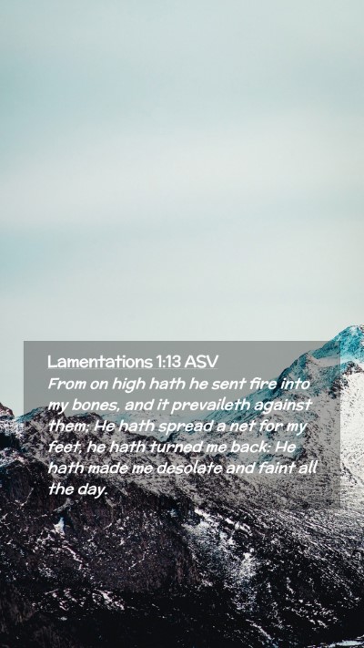 Picture 02 - Lamentations 1:13 ASV Mobile Phone Wallpaper - From on high hath he sent fire into my bones, and - Mobile Bible Verse Wallpaper