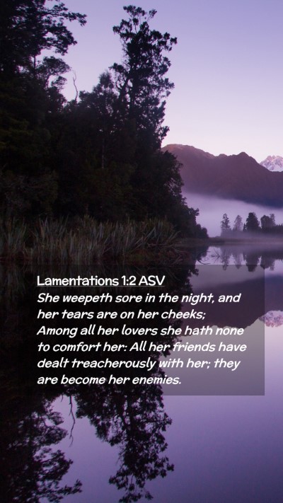 Picture 02 - Lamentations 1:2 ASV Mobile Phone Wallpaper - She weepeth sore in the night, and her tears are - Mobile Bible Verse Wallpaper