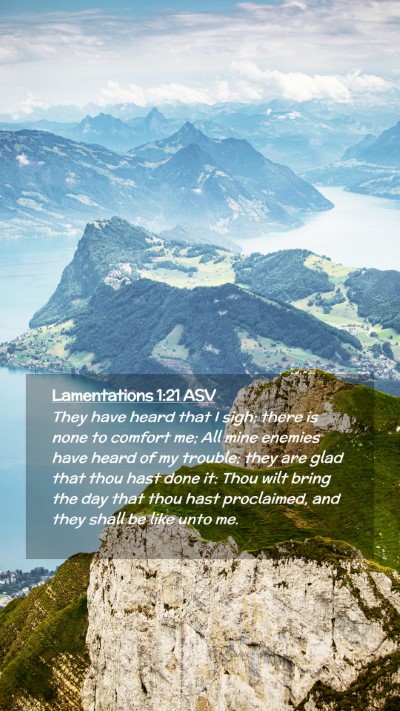 Picture 02 - Lamentations 1:21 ASV Mobile Phone Wallpaper - They have heard that I sigh; there is none to - Mobile Bible Verse Wallpaper