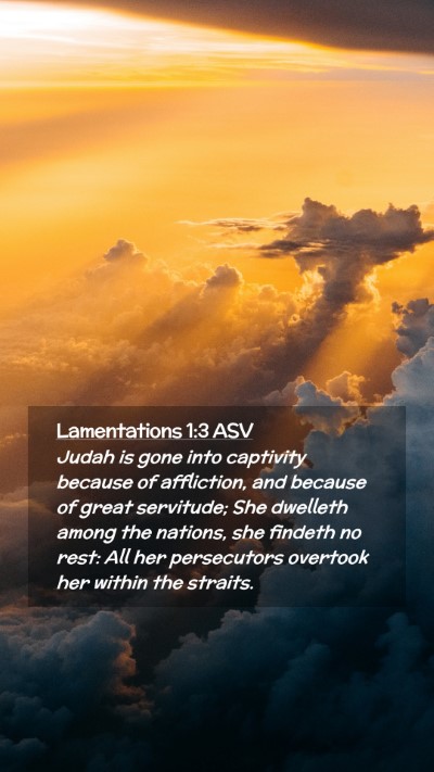 Picture 02 - Lamentations 1:3 ASV Mobile Phone Wallpaper - Judah is gone into captivity because of - Mobile Bible Verse Wallpaper