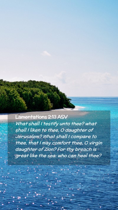Picture 02 - Lamentations 2:13 ASV Mobile Phone Wallpaper - What shall I testify unto thee? what shall I - Mobile Bible Verse Wallpaper