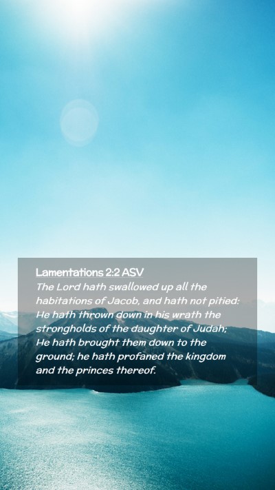 Picture 02 - Lamentations 2:2 ASV Mobile Phone Wallpaper - The Lord hath swallowed up all the habitations of - Mobile Bible Verse Wallpaper