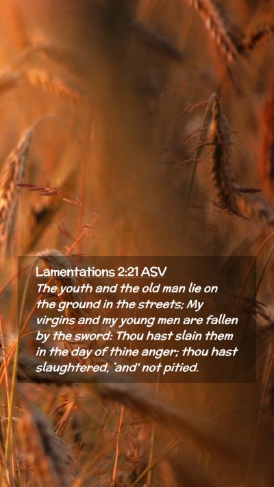 Picture 02 - Lamentations 2:21 ASV Mobile Phone Wallpaper - The youth and the old man lie on the ground in - Mobile Bible Verse Wallpaper