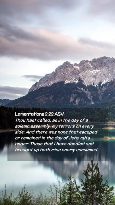Picture 02 - Lamentations 2:22 ASV Mobile Phone Wallpaper - Thou hast called, as in the day of a solemn - Mobile Bible Verse Wallpaper