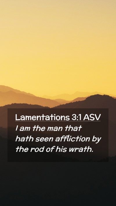 Picture 02 - Lamentations 3:1 ASV Mobile Phone Wallpaper - I am the man that hath seen affliction by the rod - Mobile Bible Verse Wallpaper
