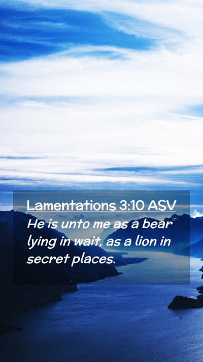 Picture 02 - Lamentations 3:10 ASV Mobile Phone Wallpaper - He is unto me as a bear lying in wait, as a lion - Mobile Bible Verse Wallpaper