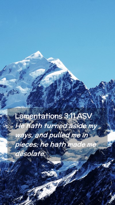 Picture 02 - Lamentations 3:11 ASV Mobile Phone Wallpaper - He hath turned aside my ways, and pulled me in - Mobile Bible Verse Wallpaper
